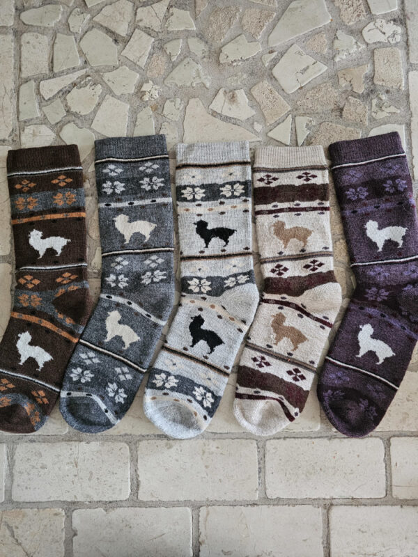 Strømpe LLAMITA Alpaca