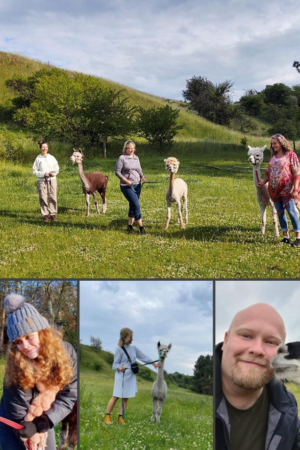 Gavekort til Alpacawalk