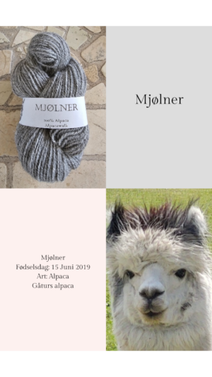 Alpaca garn Mjølner