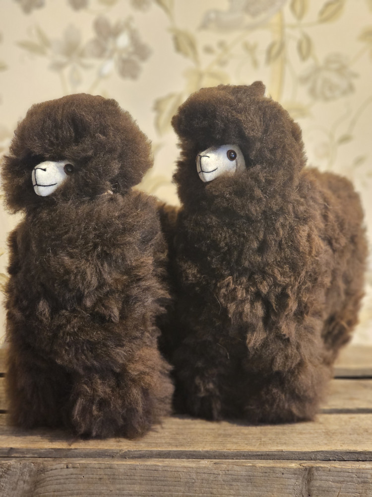 Alpaca Inka - Billede 5