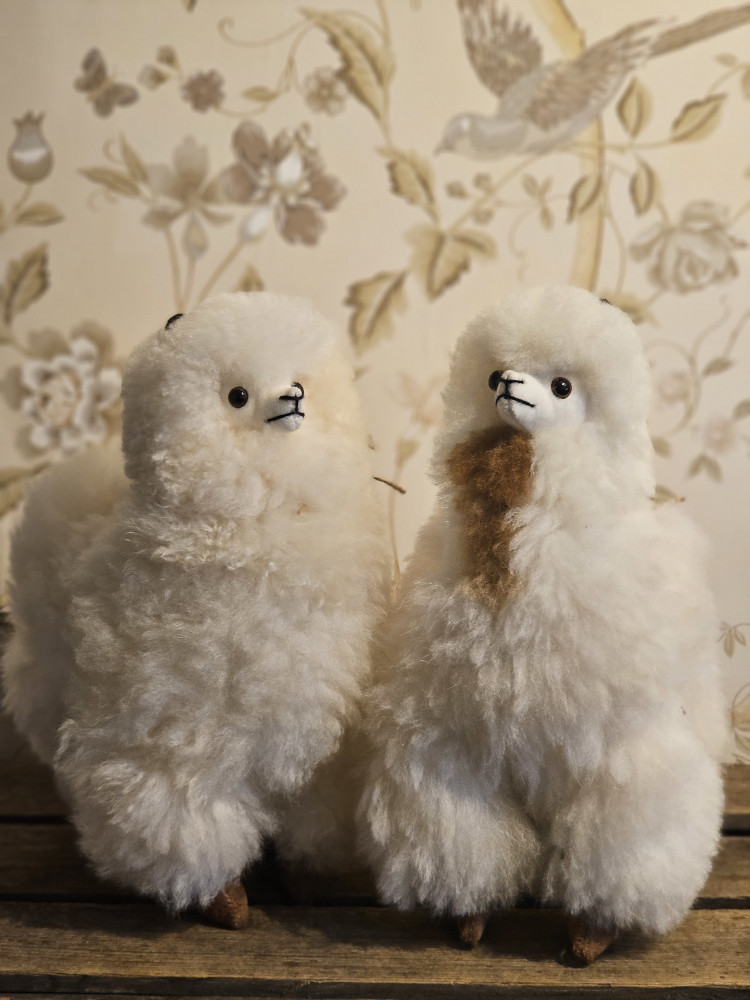 Alpaca Inka - Billede 8