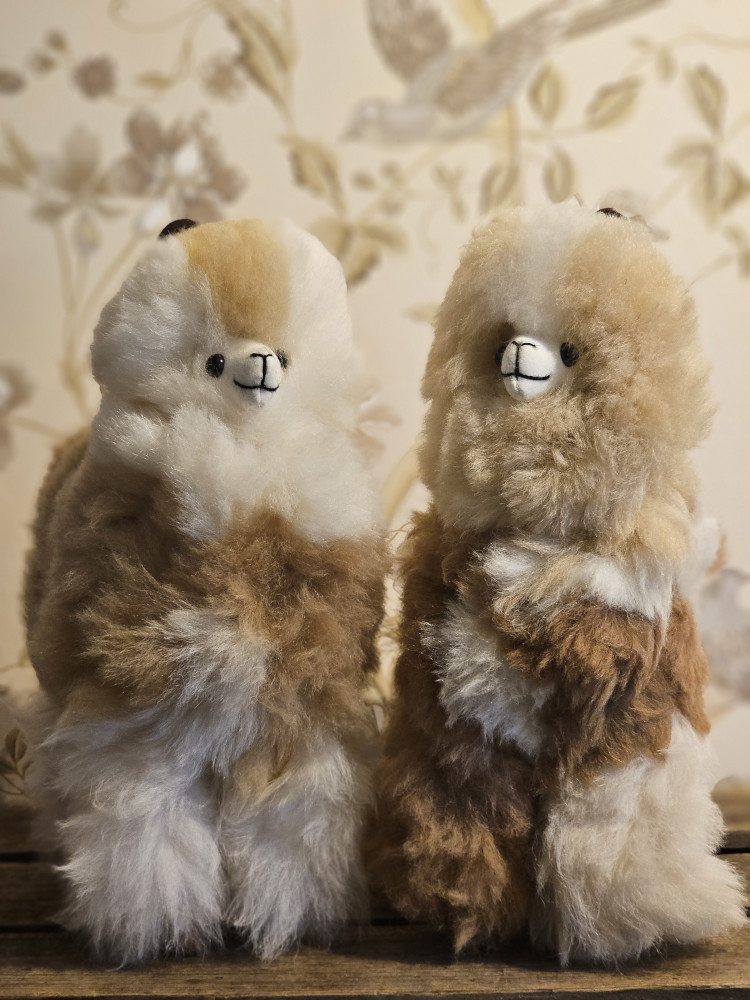 Alpaca Inka - Billede 2