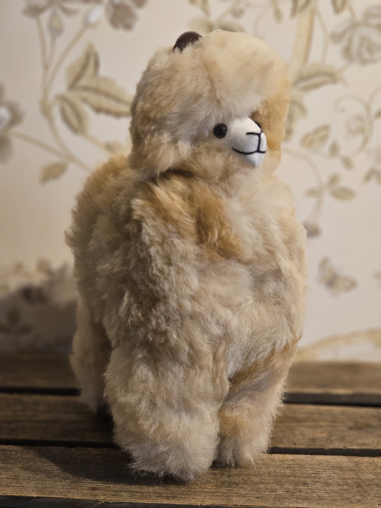 Alpaca Inka - Billede 10