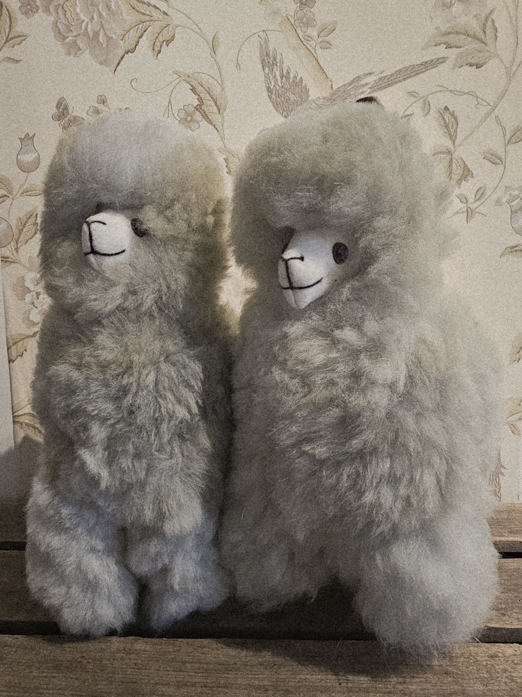 Alpaca Inka - Billede 9